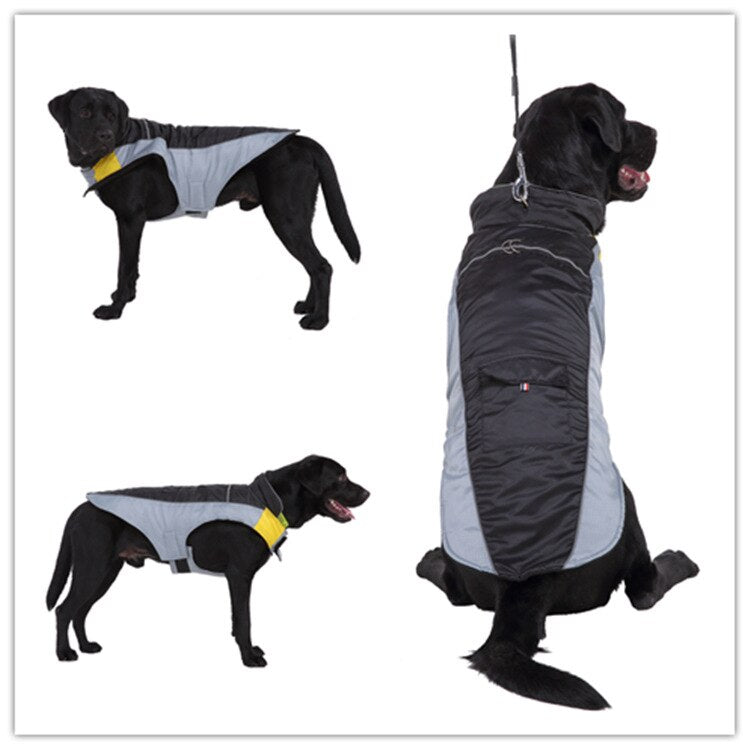 Waterproof Two-Tone Fleece Jacket for Men and Women