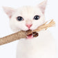 Matatabi Cat Dental Care Natural Oral Health Aid