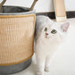Cat Scratching Mat Durable Scratch Pad for Cats