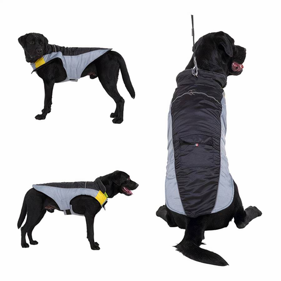 Waterproof Two-Tone Fleece Jacket for Men and Women