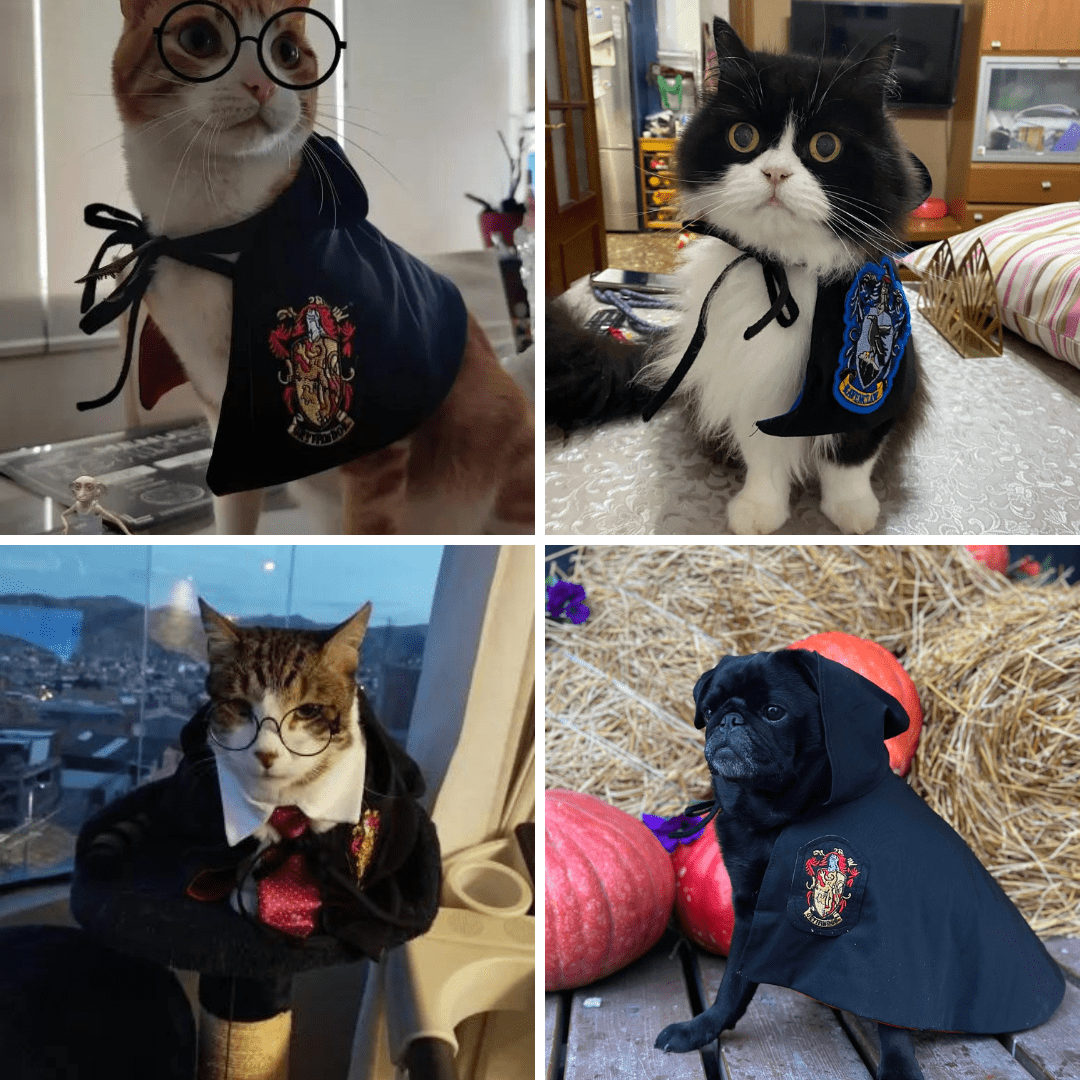 Harry Potter Cape Costume for Cats and Dogs Pet Halloween Outfit