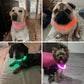 LED Dog Collar Light Up Waterproof Rechargeable Safety Collar for Night Walking