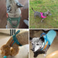 Dog T Harness Adjustable No Pull Pet Vest Harness for Small Medium Large Dogs