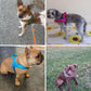Dog T Harness Adjustable No Pull Pet Vest Harness for Small Medium Large Dogs