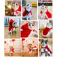 Santa Claus Cape Costume for Cats Christmas Pet Outfit