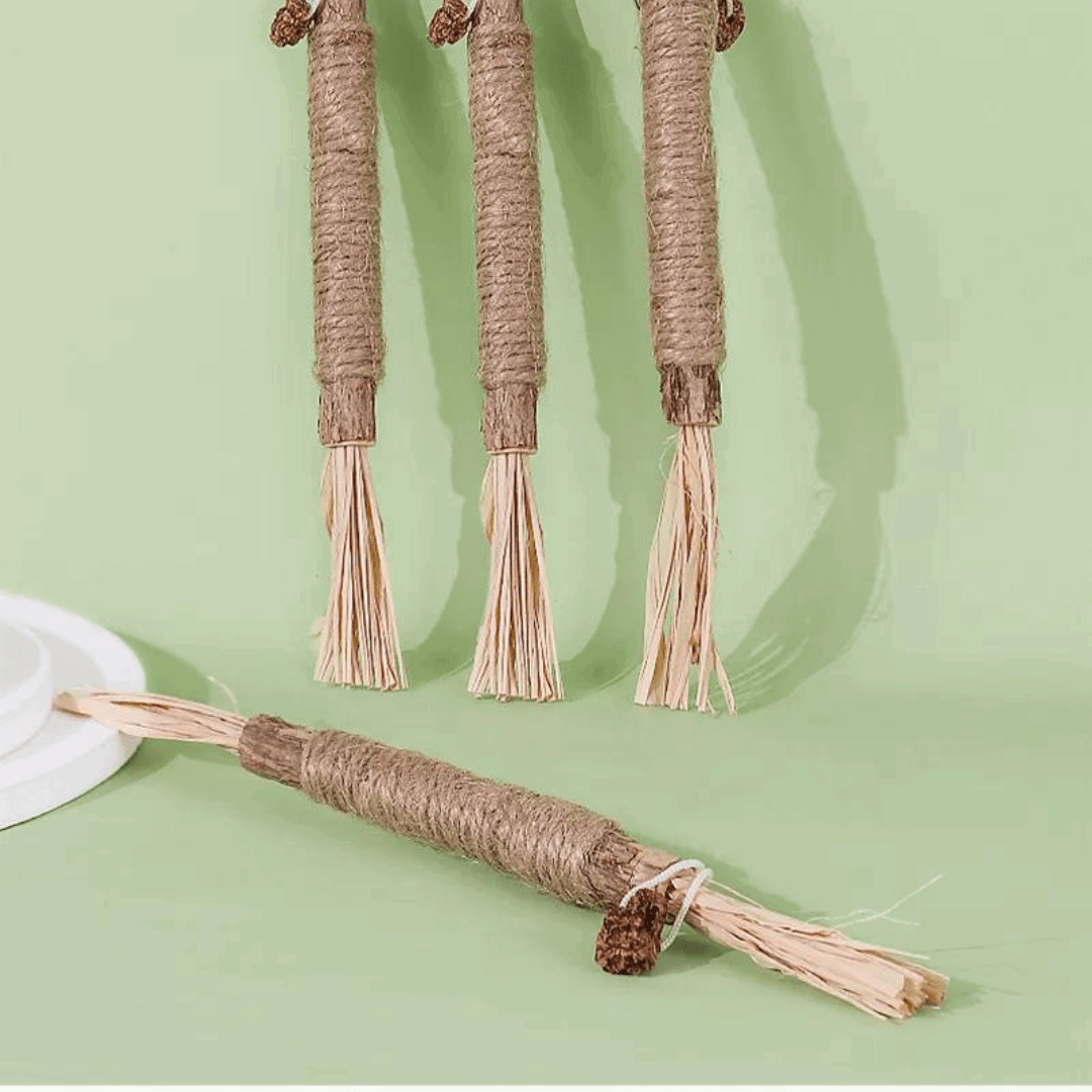 Cat Chew Stick Natural Dental Treat for Cats