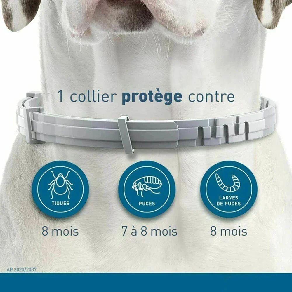 Cat Flea Collar Natural Pest Repellent for Cats