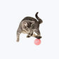 Interactive Cat Ball Toy