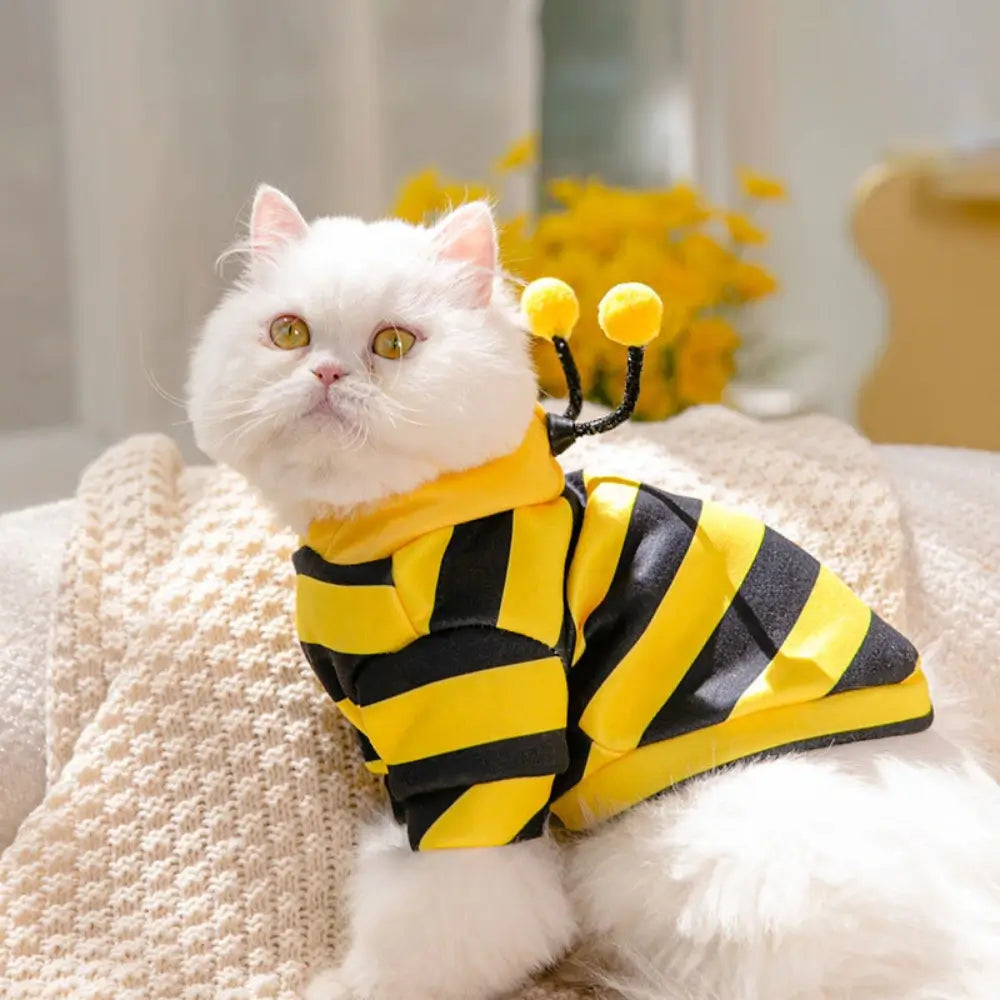 Cute Cat Hoodie Costume for Kids and Adults Animal Onesie Pajama