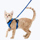 Escape Proof Cat Harness Adjustable No Escape Cat Harness for Outdoor Safety