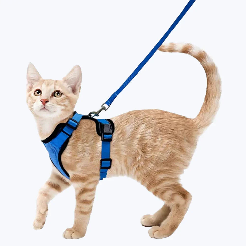 Escape Proof Cat Harness Adjustable No Escape Cat Harness for Outdoor Safety