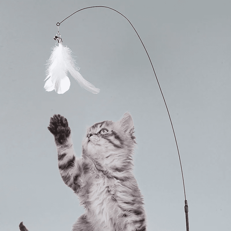 Cat Fishing Rod Toy with Suction Cup Interactive Cat Teaser Toy