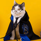 Harry Potter Cape Costume for Cats and Dogs Pet Halloween Outfit