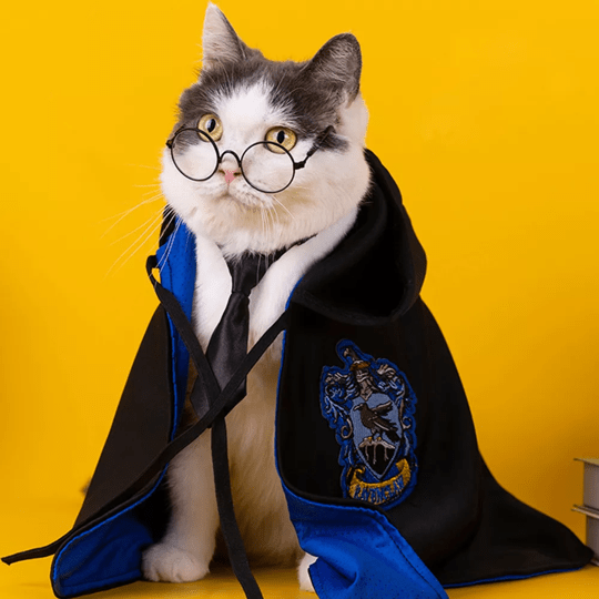 Harry Potter Cape Costume for Cats and Dogs Pet Halloween Outfit