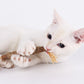 Cat Chew Stick Natural Dental Treat for Cats