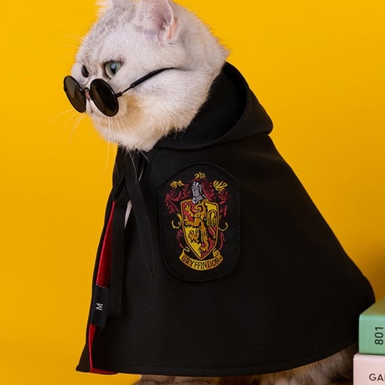 Harry Potter Cape Costume for Cats and Dogs Pet Halloween Outfit