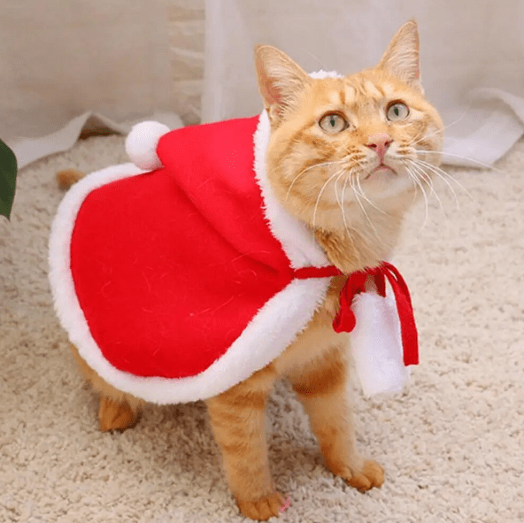 Santa Claus Cape Costume for Cats Christmas Pet Outfit