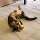 Mini Plush Cat Toys Cute Small Soft Catnip Stuffed Animals for Cats