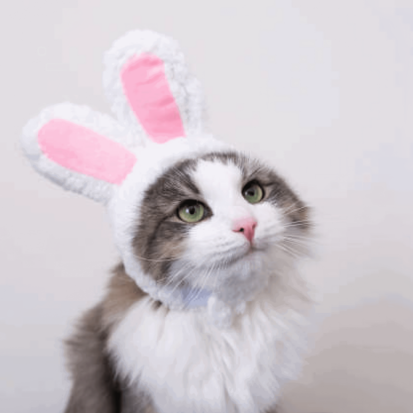 Cat Head Costume Pet Hat Funny Halloween Accessory for Cats