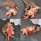 Interactive Pet Toy Crawfish Chew Toy for Dogs Cats