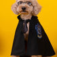 Harry Potter Cape Costume for Cats and Dogs Pet Halloween Outfit