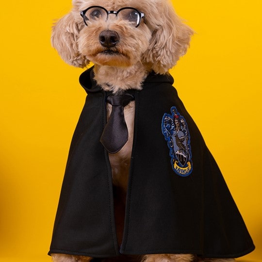 Harry Potter Cape Costume for Cats and Dogs Pet Halloween Outfit