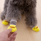 Dog Socks Yellow Striped Non Slip Pet Booties for Indoor Outdoor Use