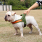 Dog T Harness Adjustable No Pull Pet Vest Harness for Small Medium Large Dogs