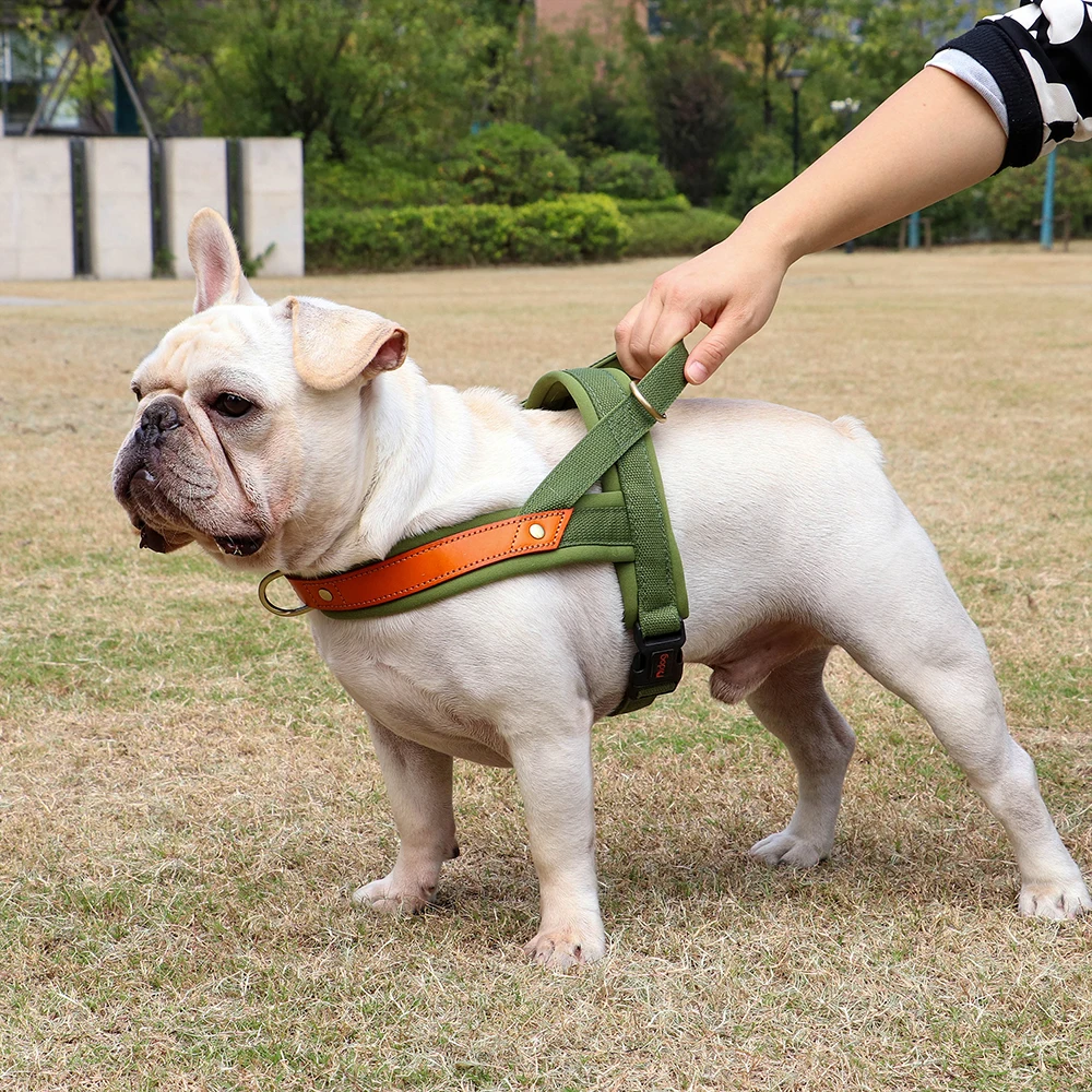 Dog T Harness Adjustable No Pull Pet Vest Harness for Small Medium Large Dogs