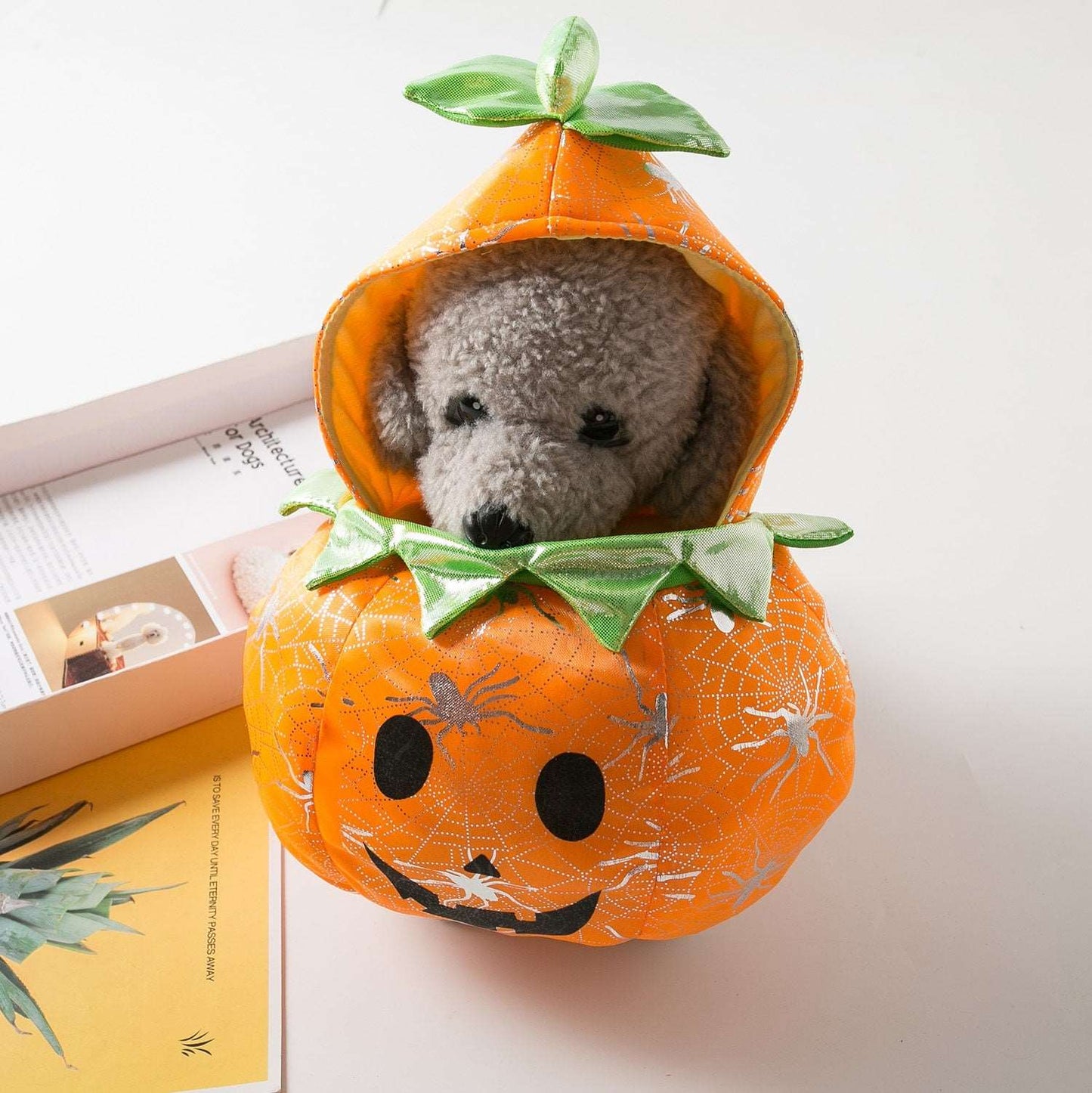 Pumpkin Costume for Cats and Dogs Halloween Pet Outfit