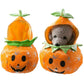 Pumpkin Costume for Cats and Dogs Halloween Pet Outfit