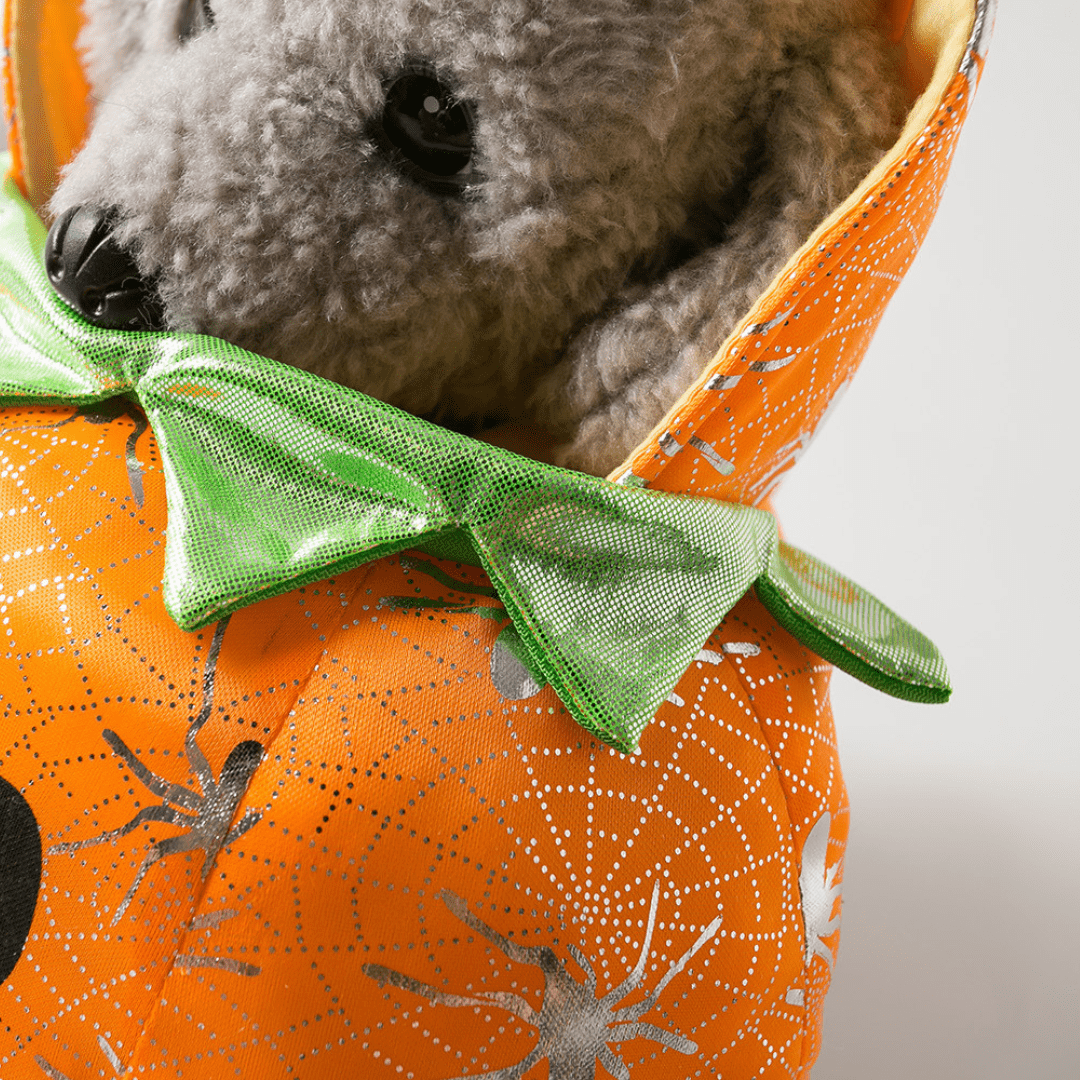 Pumpkin Costume for Cats and Dogs Halloween Pet Outfit