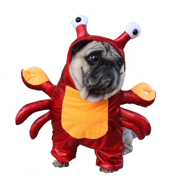 Crab Costume for Cats and Dogs Pet Halloween Outfit Crab Pet Costume