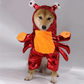 Crab Costume for Cats and Dogs Pet Halloween Outfit Crab Pet Costume