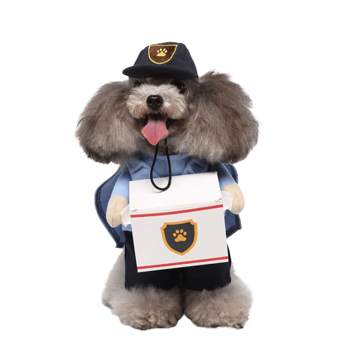 Delivery Driver Costume for Cats and Dogs Pet Outfit