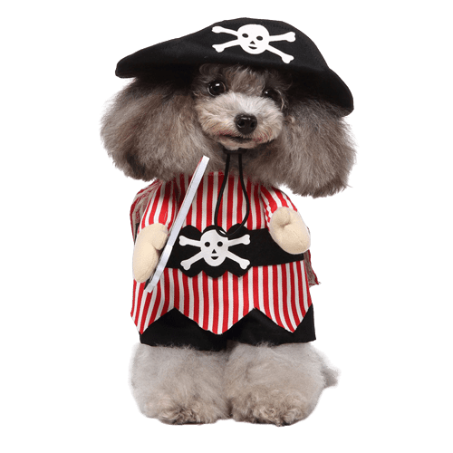 Pirate Costume for Cats and Dogs Pet Halloween Outfit