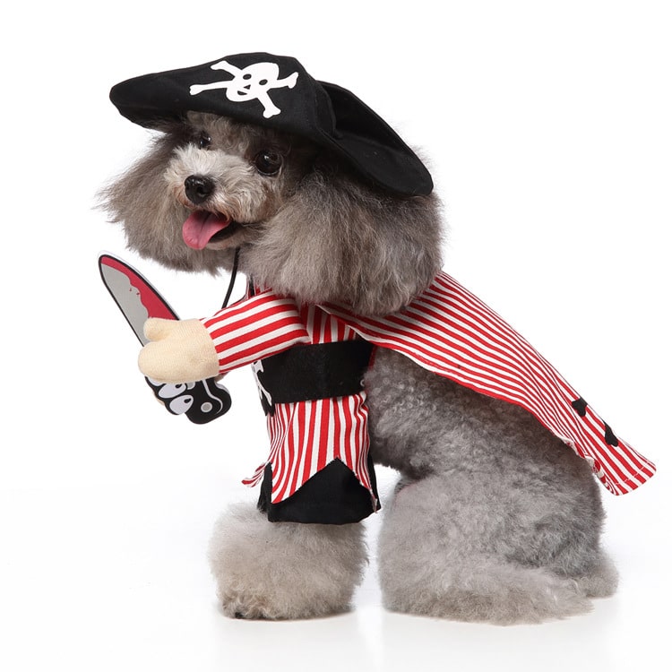 Pirate Costume for Cats and Dogs Pet Halloween Outfit