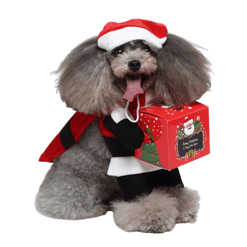 Santa Claus Costume for Dog and Cat Holiday Pet Outfit