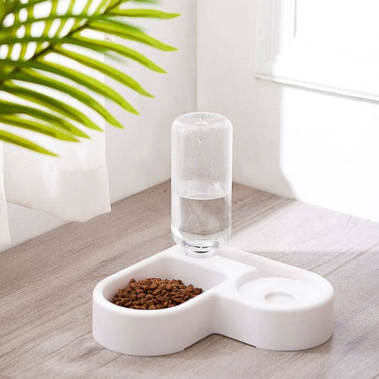 Designer Cat Bowl Stylish Pet Feeding Dish