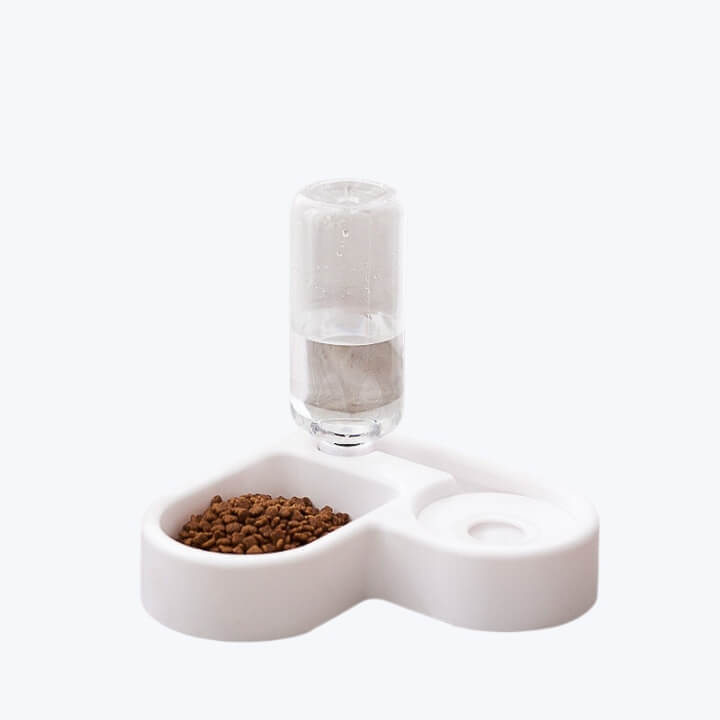 Designer Cat Bowl Stylish Pet Feeding Dish