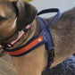 Dog T Harness Adjustable No Pull Pet Vest Harness for Small Medium Large Dogs
