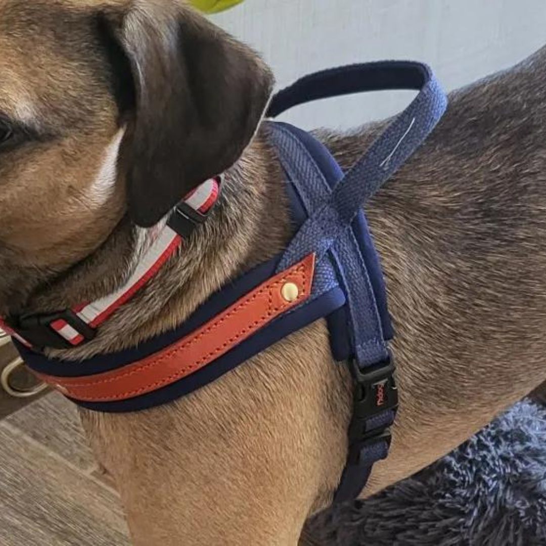 Dog T Harness Adjustable No Pull Pet Vest Harness for Small Medium Large Dogs