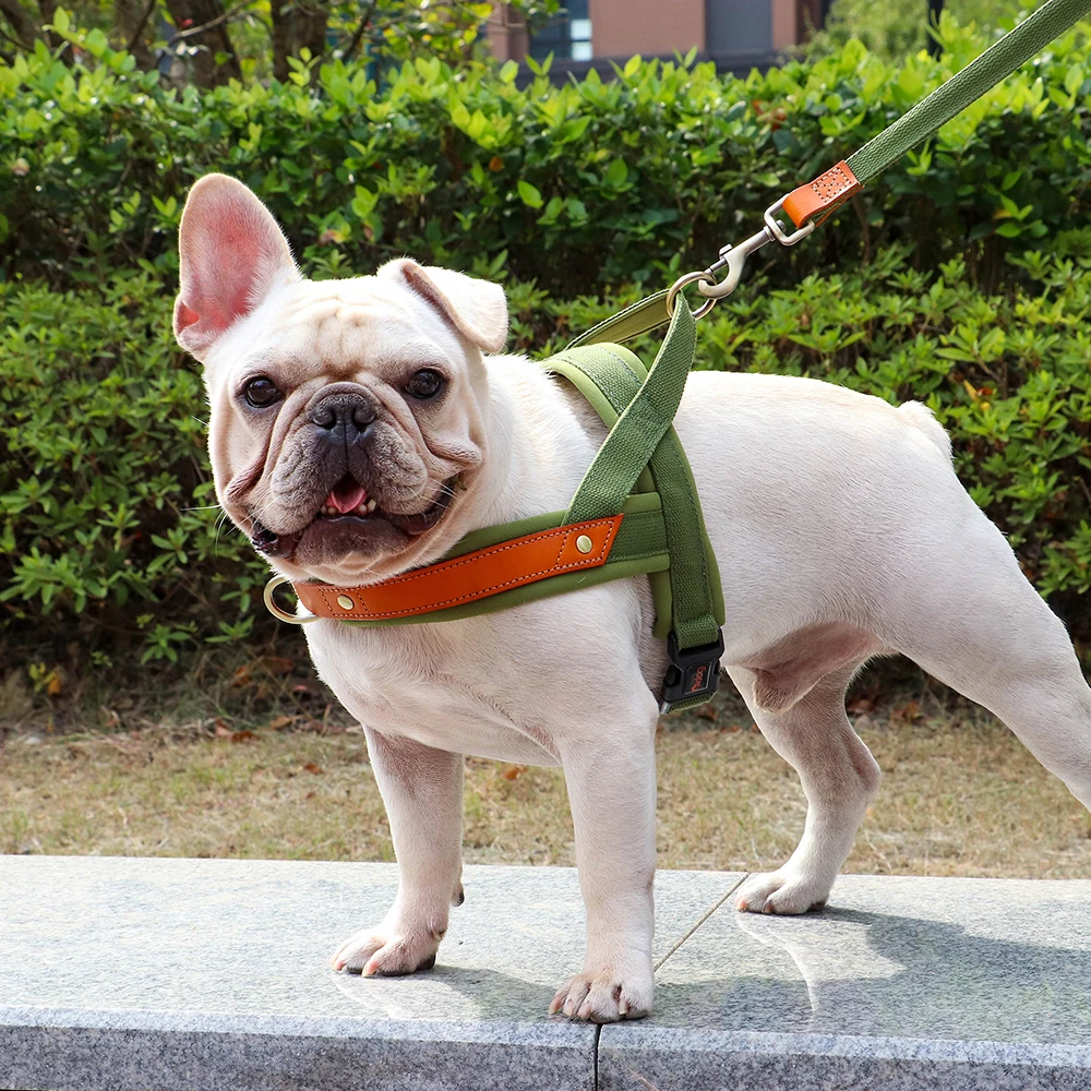 Dog T Harness Adjustable No Pull Pet Vest Harness for Small Medium Large Dogs