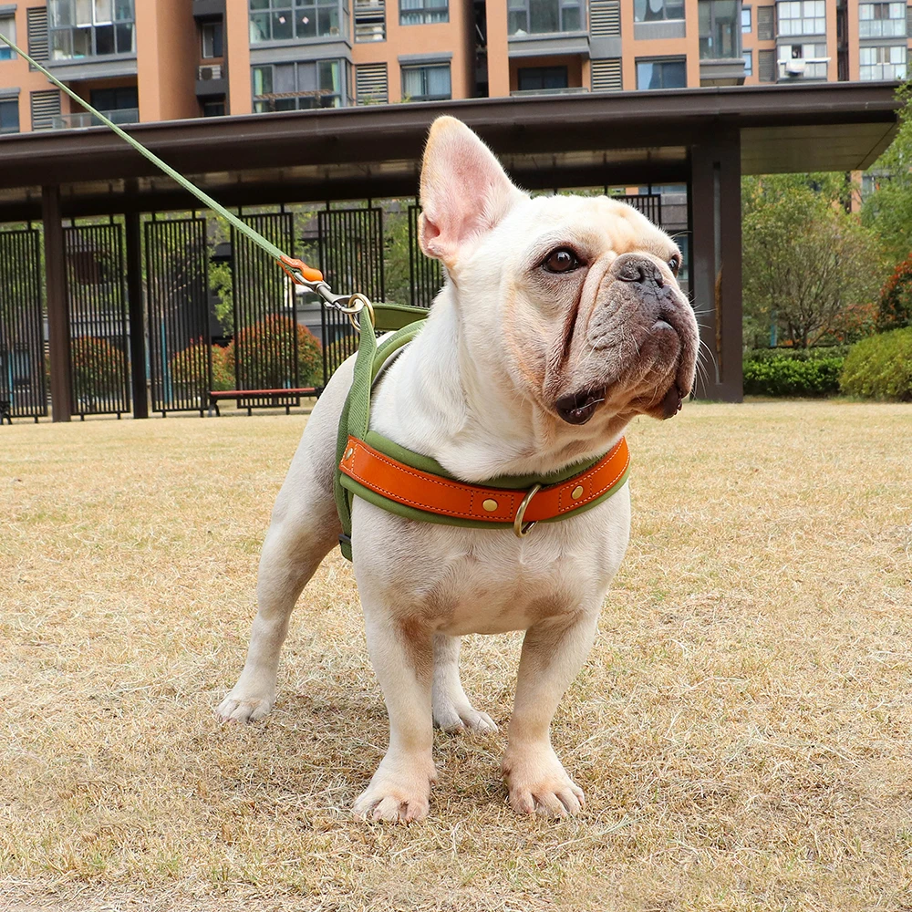 Dog T Harness Adjustable No Pull Pet Vest Harness for Small Medium Large Dogs