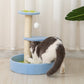 KiTree Cat Tree Small Cat Tree Tower for Cats Pet Climbing Furniture
