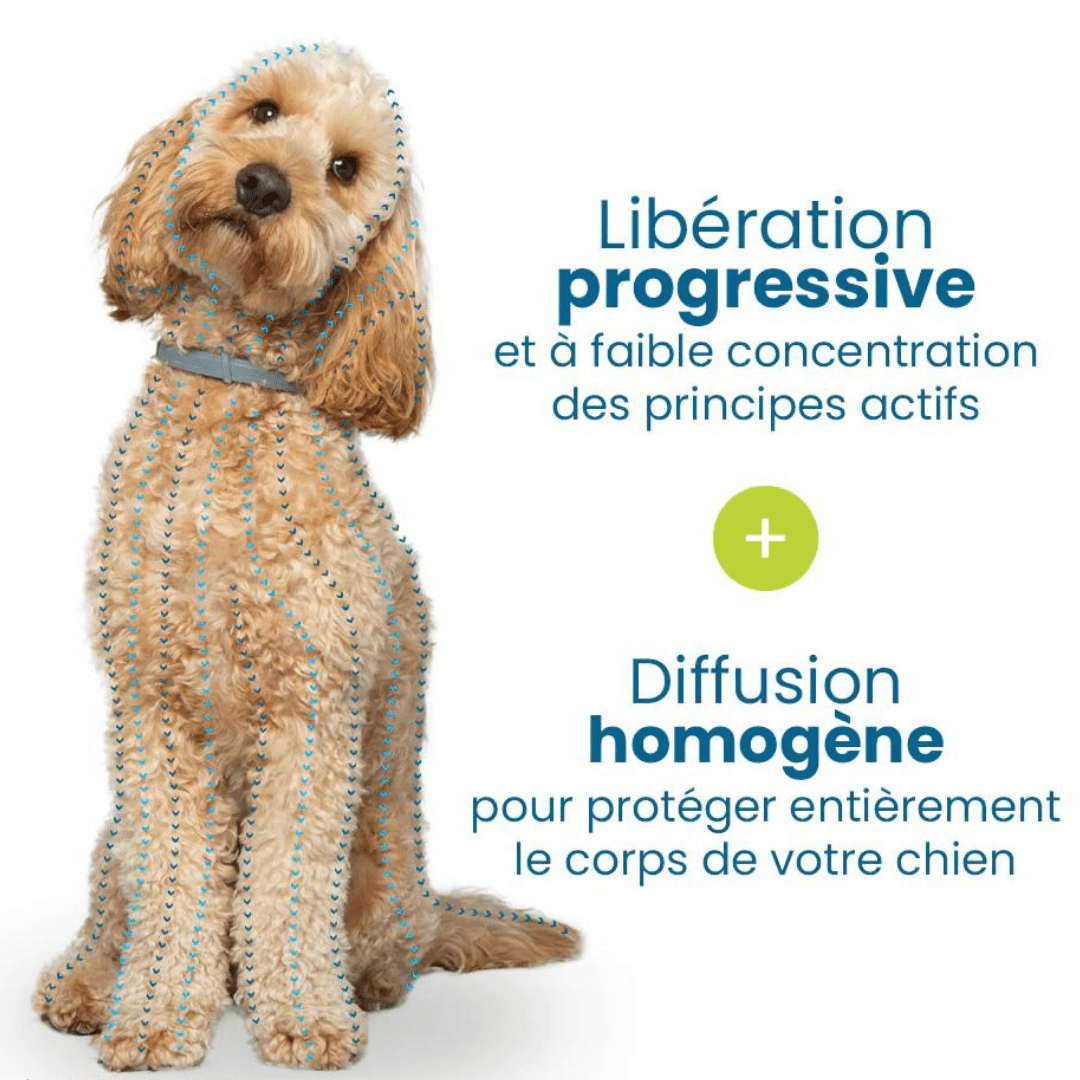 Natural Flea and Tick Collar for Dogs and Cats Pet Protection