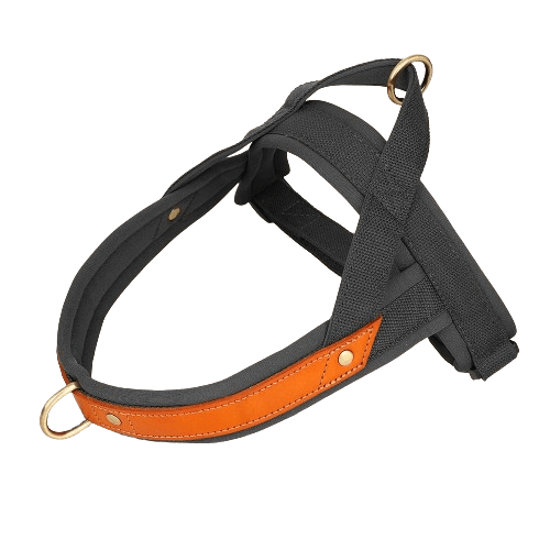 Dog T Harness Adjustable No Pull Pet Vest Harness for Small Medium Large Dogs