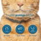 Natural Flea and Tick Collar for Dogs and Cats Pet Protection