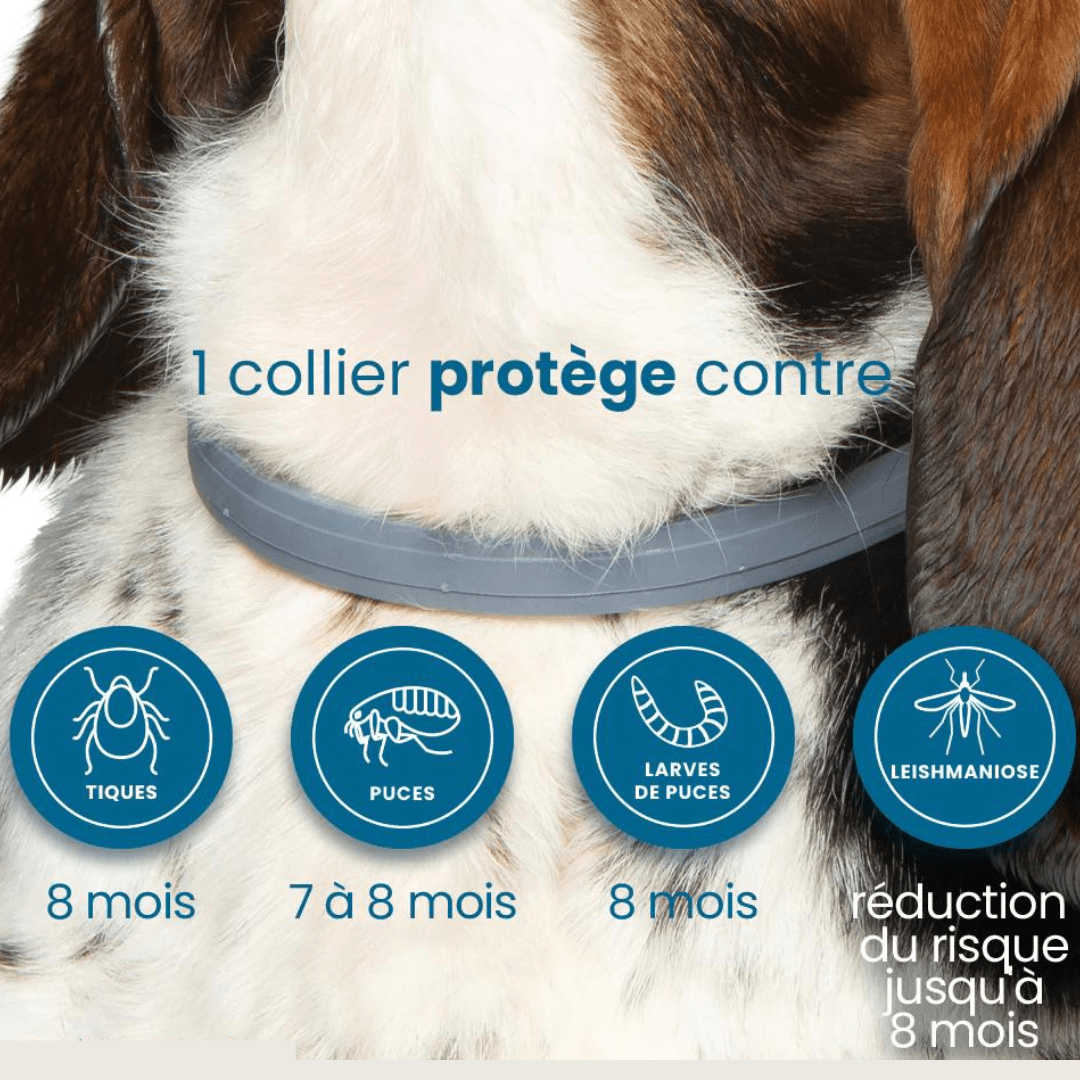 Natural Flea and Tick Collar for Dogs and Cats Pet Protection