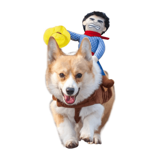 Pet Costume for Cats and Dogs Rodeo Outfit